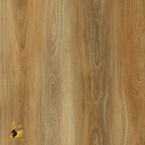 Spotted Gum 3405