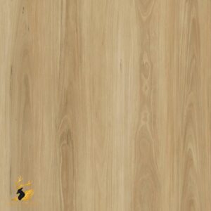 Blackbutt 3406