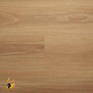Blackbutt