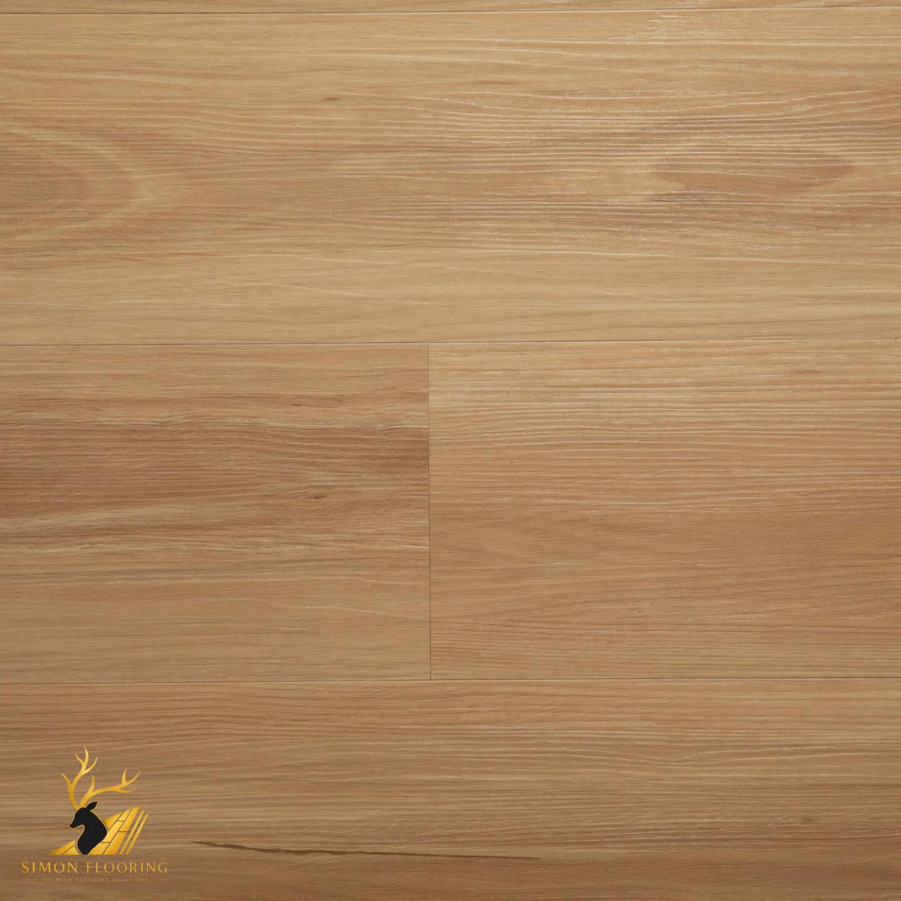 Blackbutt