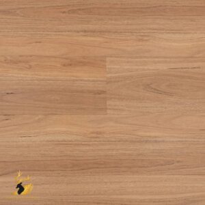 Blackbutt