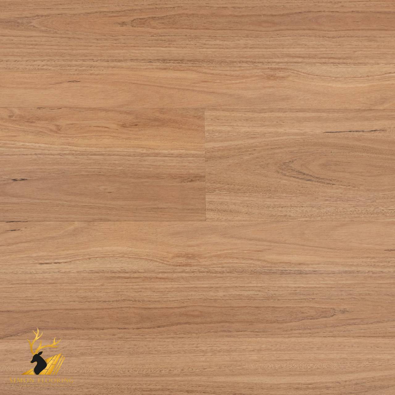Blackbutt