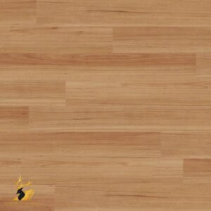 Blackbutt