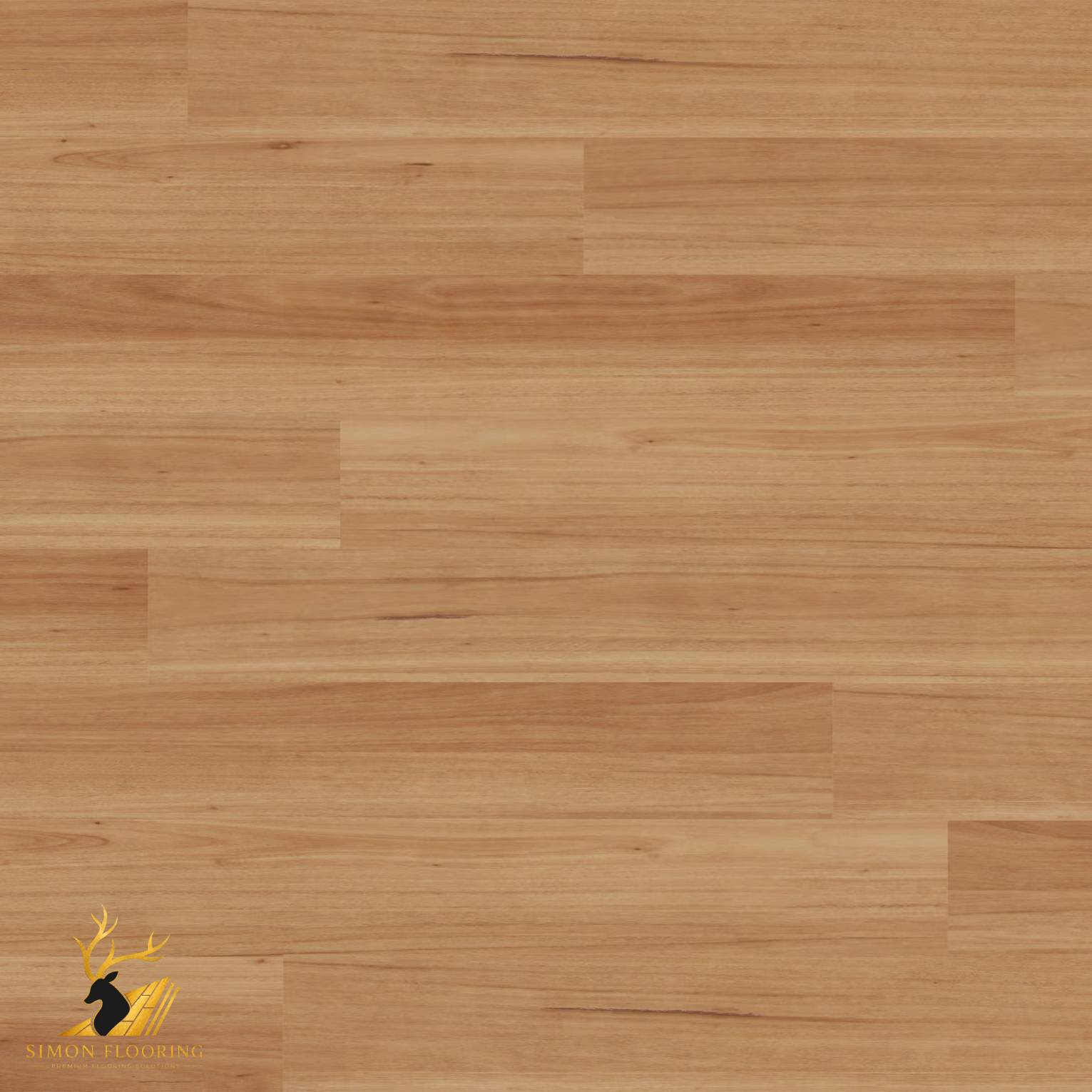 Blackbutt