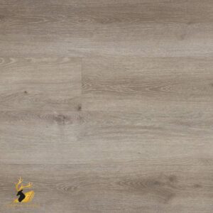 Elwood Grey