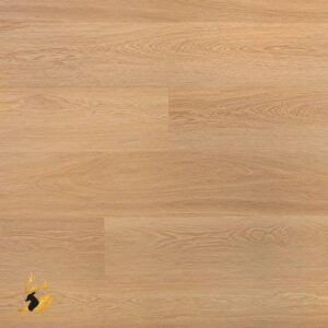 European Oak