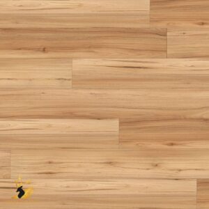 Mountain Blackbutt
