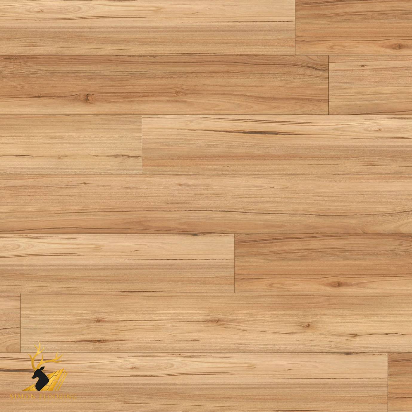 Mountain Blackbutt