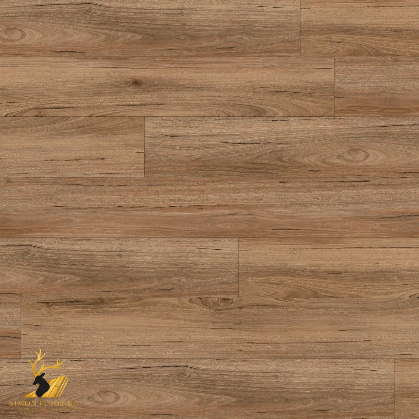 Mountain Spotted Gum