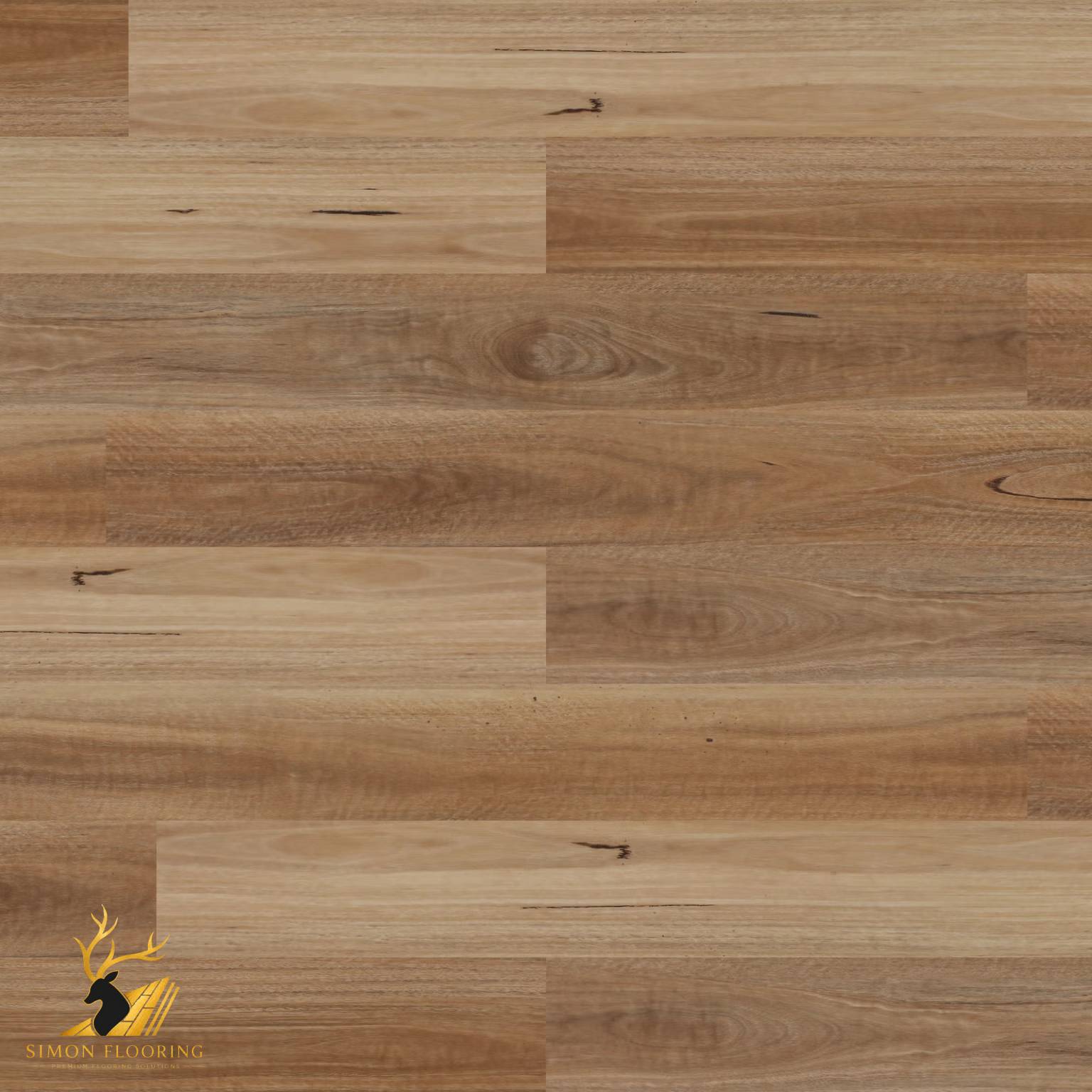 Spotted Gum