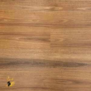 Spotted Gum