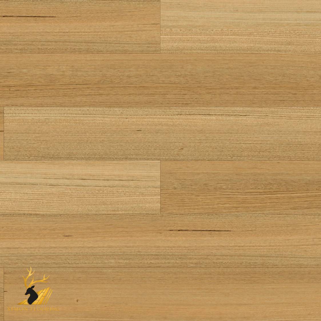 Tasmanian Oak