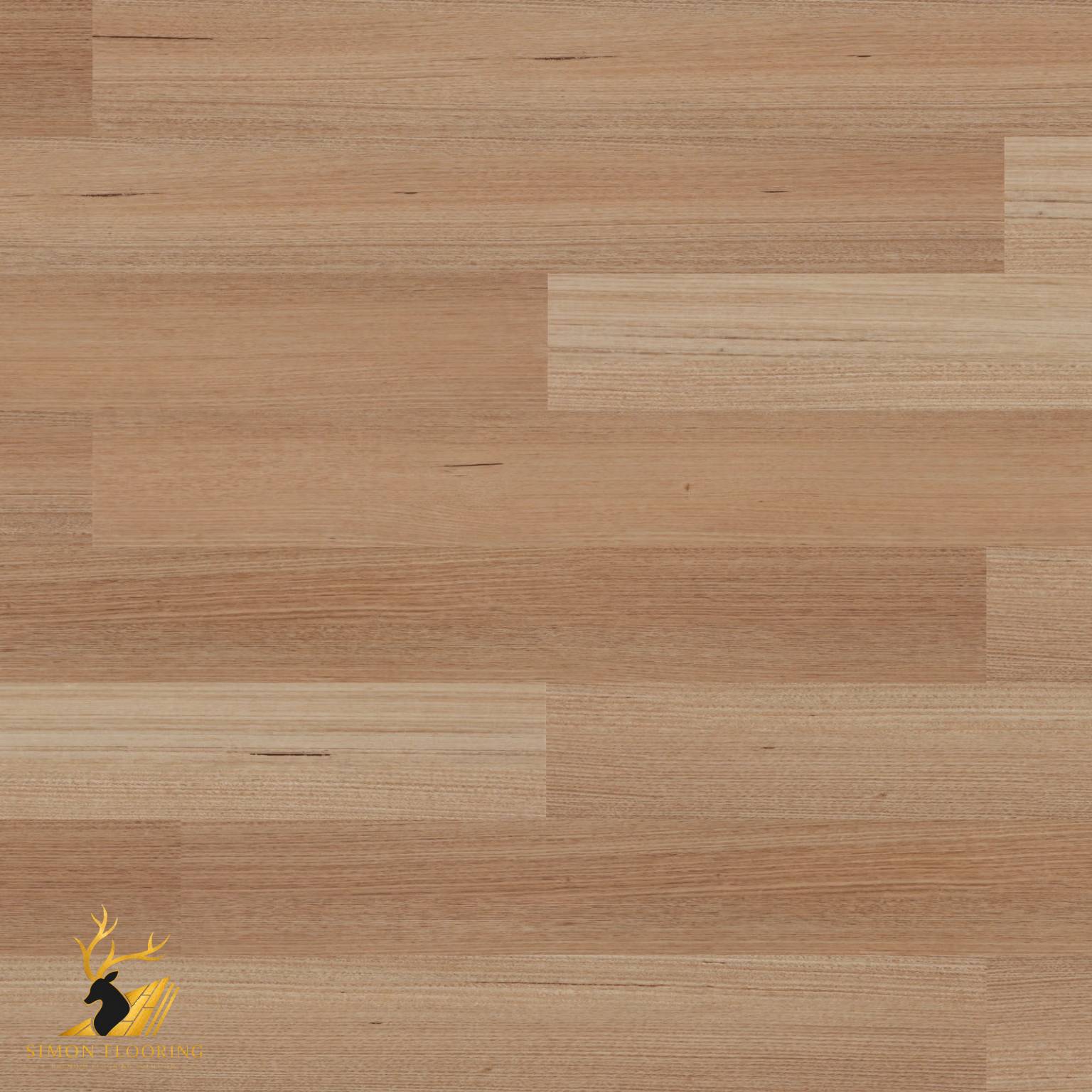 Tasmanian Oak