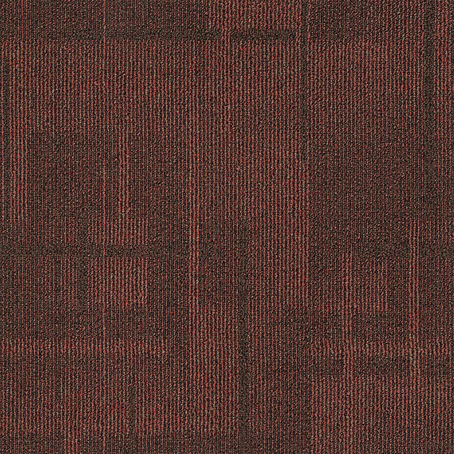 Dynamic - Image 8