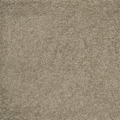 First Sensation - Image 8