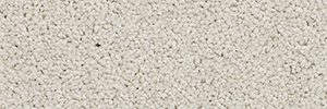 Pacific - Image 10