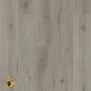 Arctic Grey