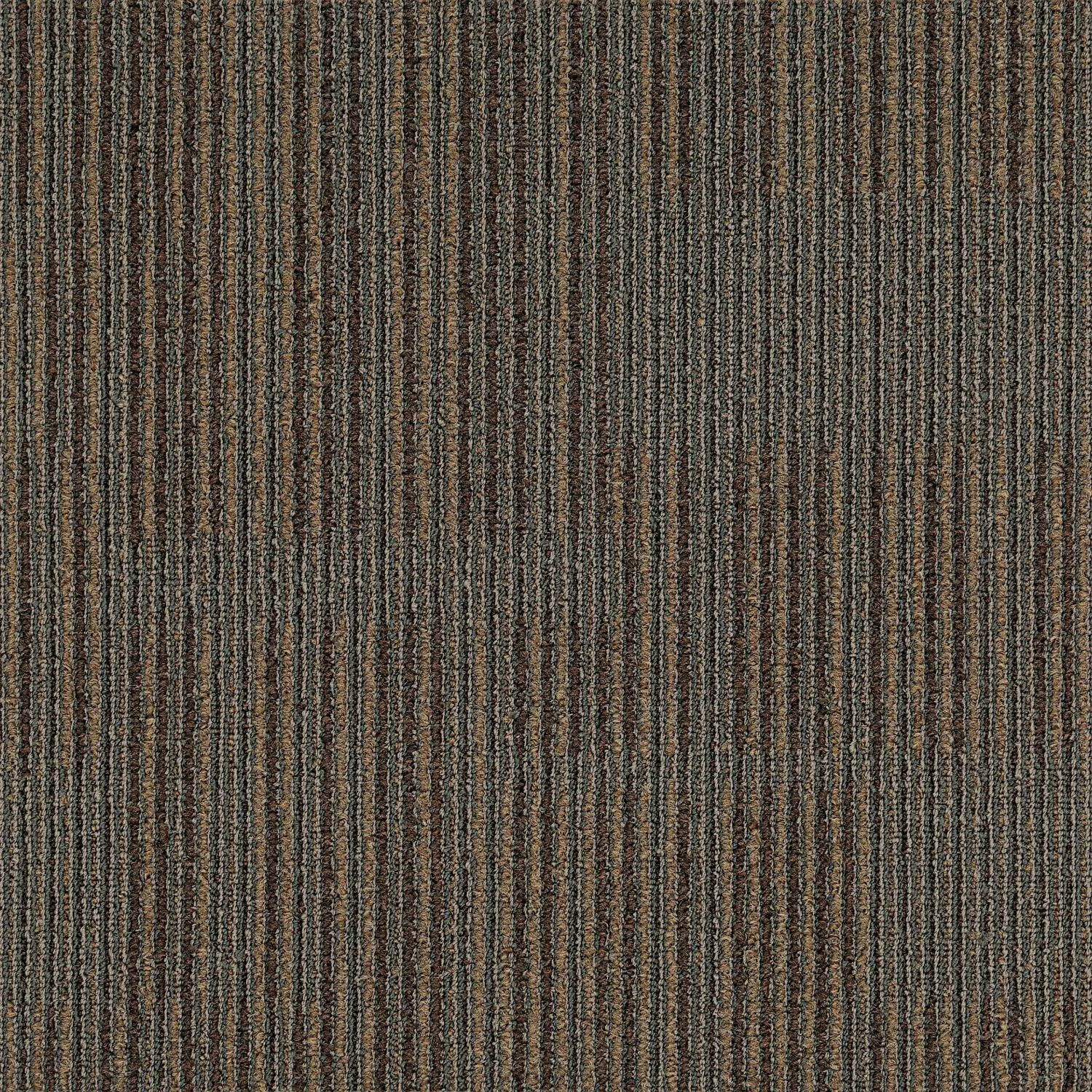 Como - Image 4