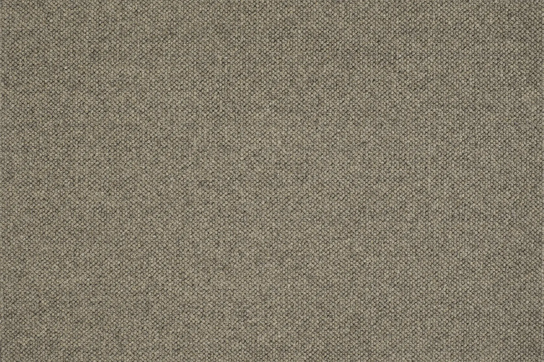 Jaro - Image 2