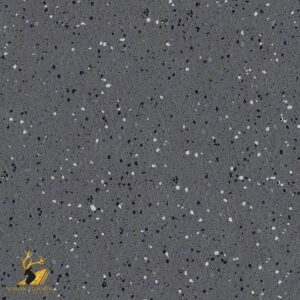 Blackbird