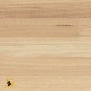 Blackbutt / Smooth