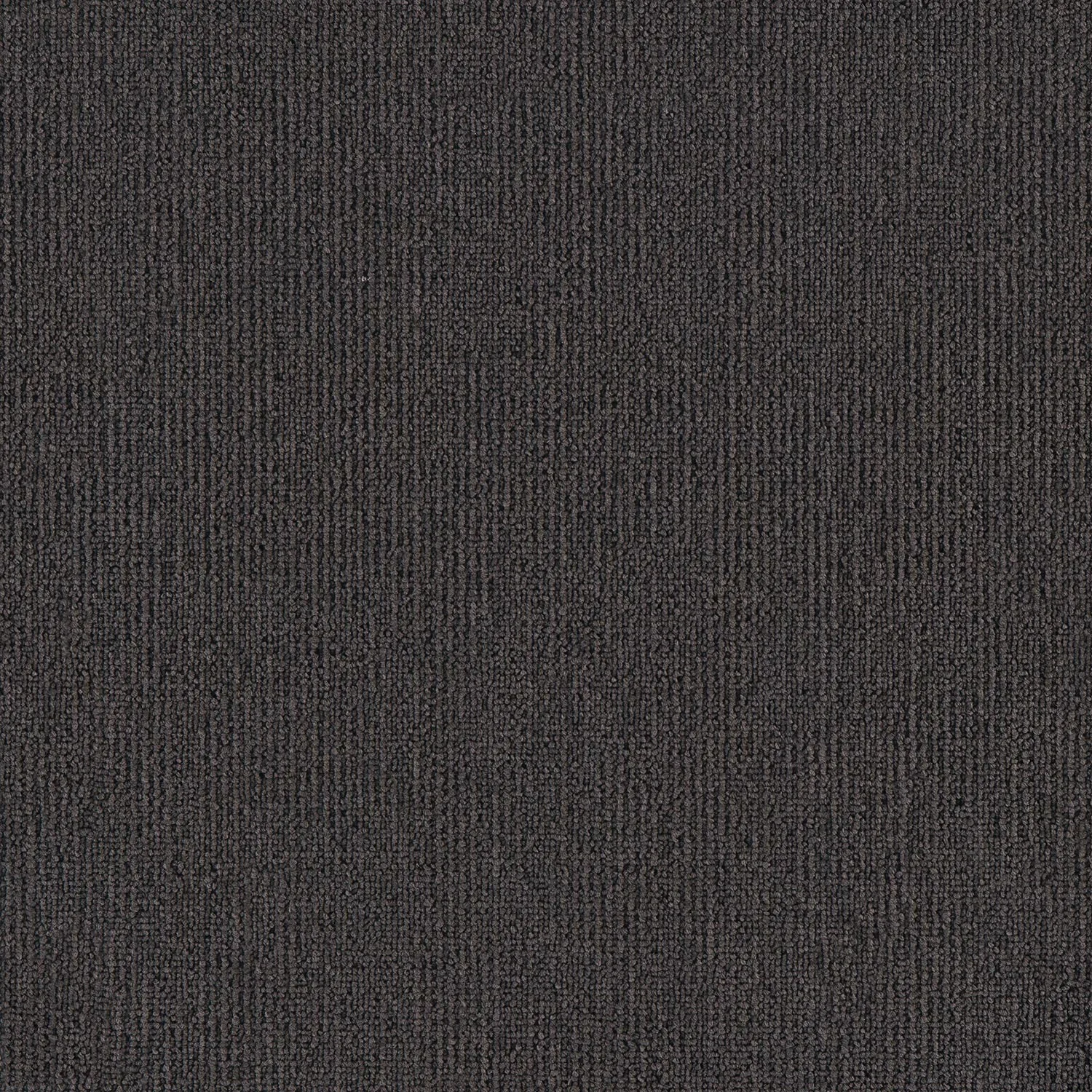 Elegance - Image 4
