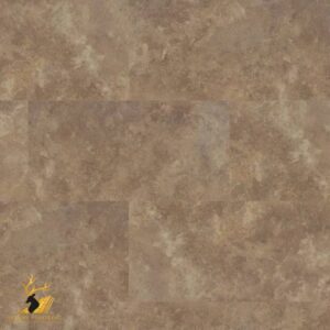 Cambrian Stone
