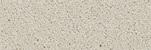 Pacific - Image 12