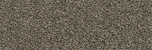 Pacific - Image 13