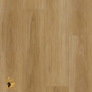 Classic Blackbutt