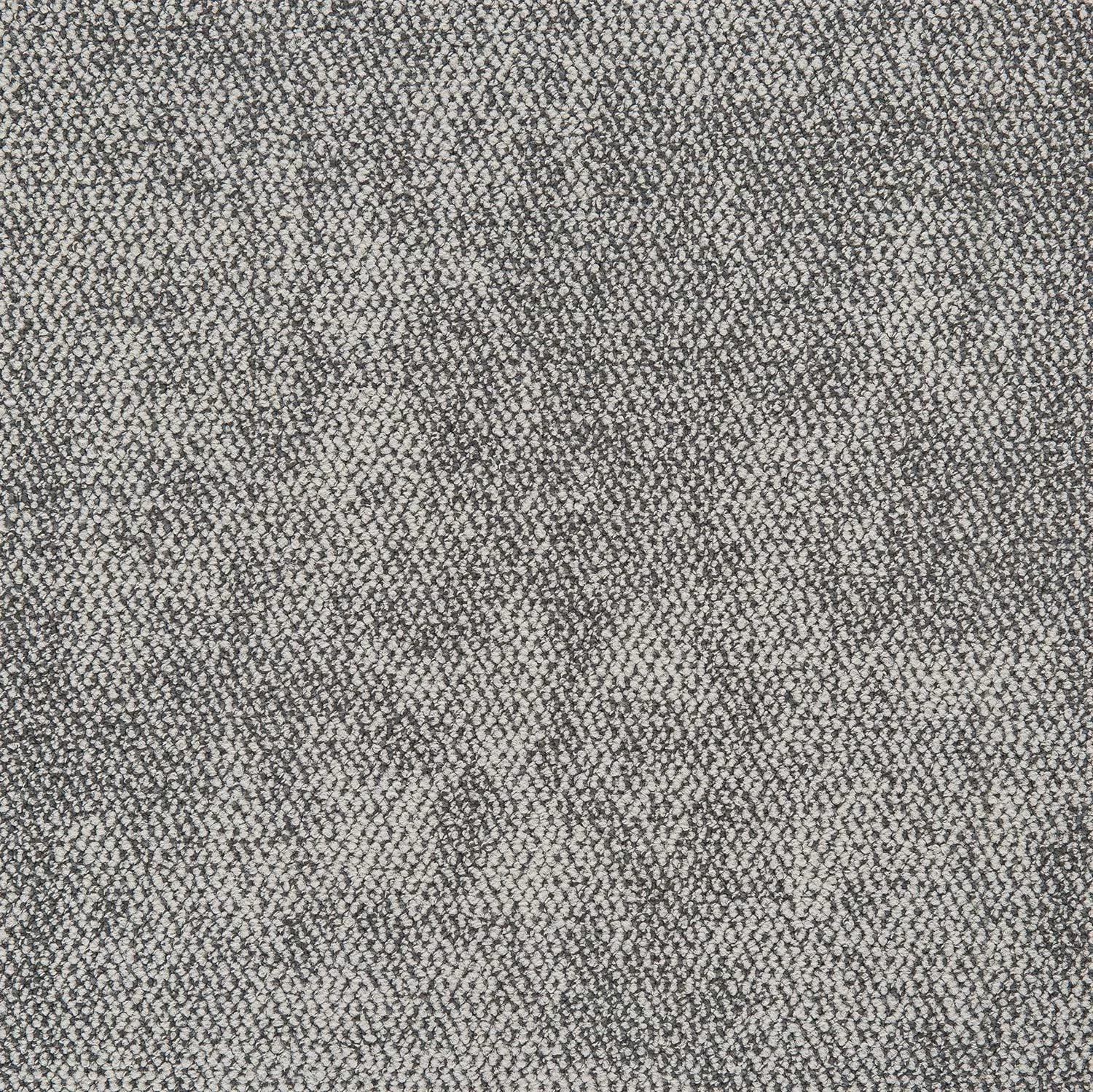 Nova - Image 6