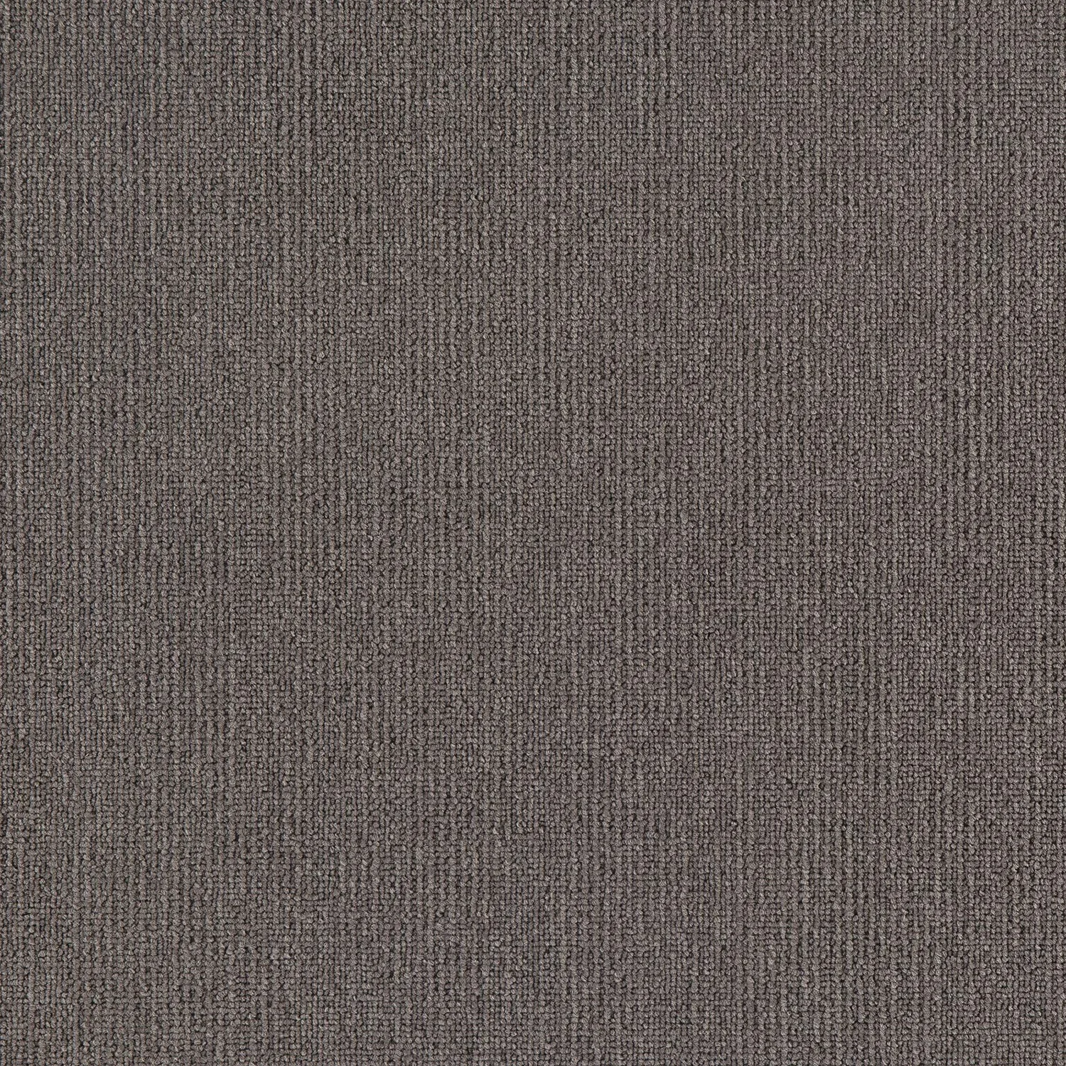 Elegance - Image 5