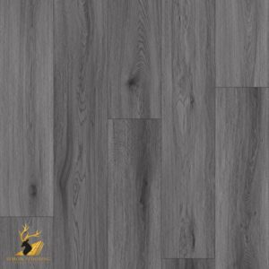 Dim Grey