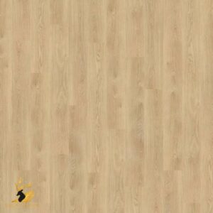 Eastern Oak