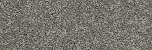 Pacific - Image 15