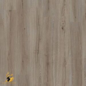 Grey Elm