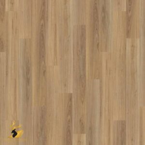 Kauri Pine