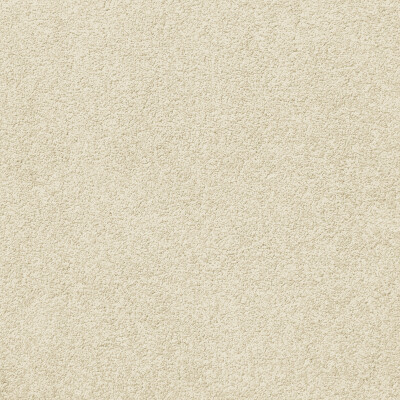 Palm Beach - Image 6
