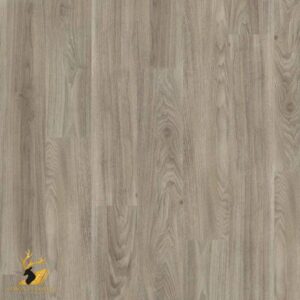 Light Elm