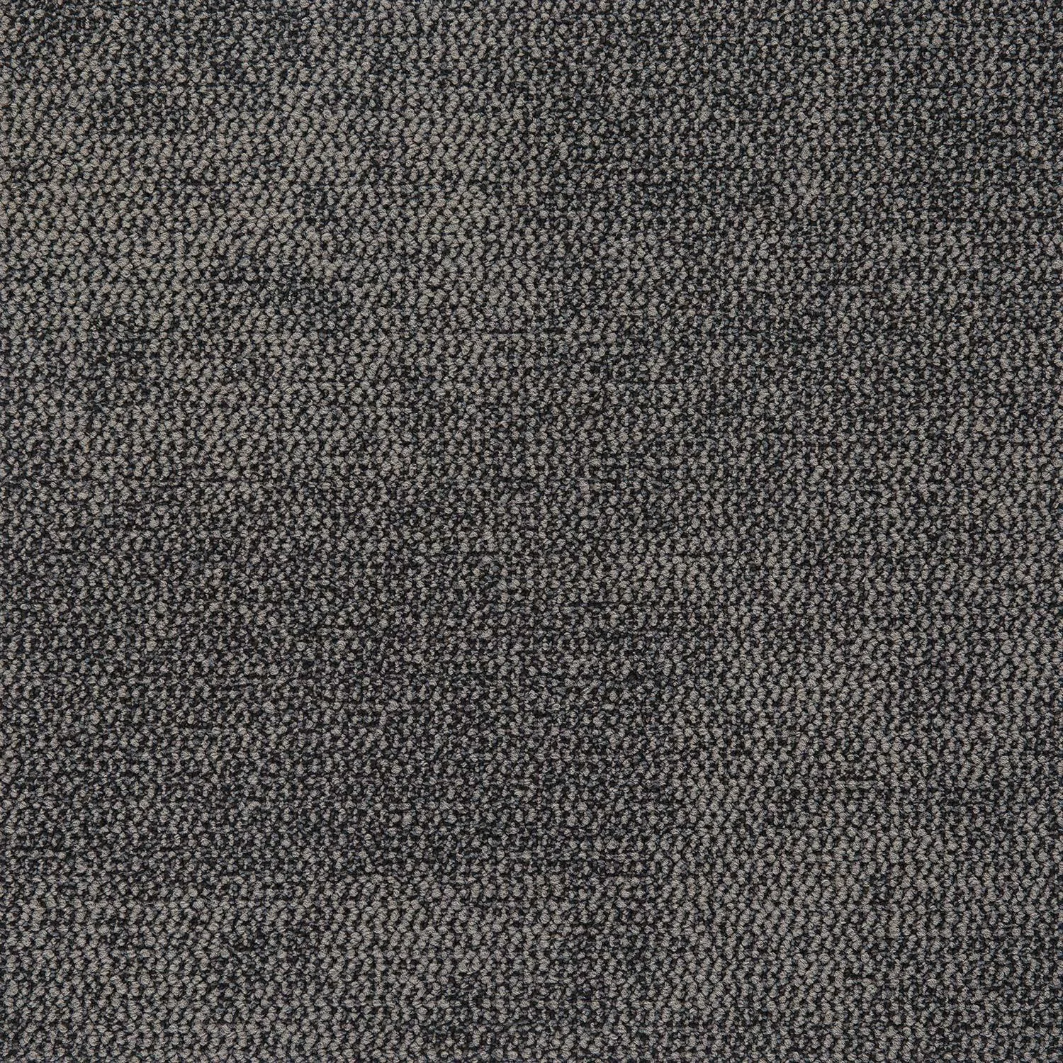 Nova - Image 8