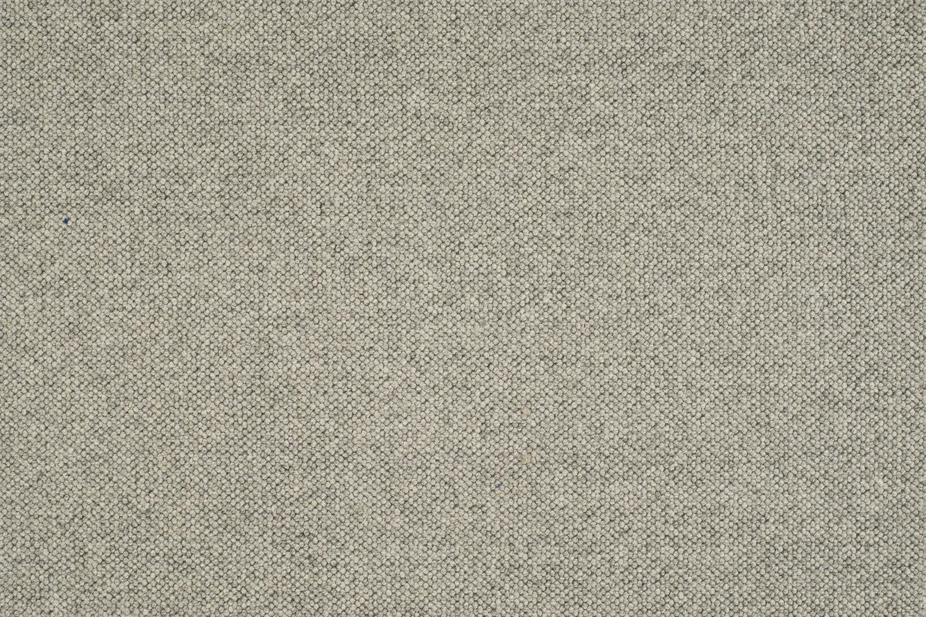 Jaro - Image 7