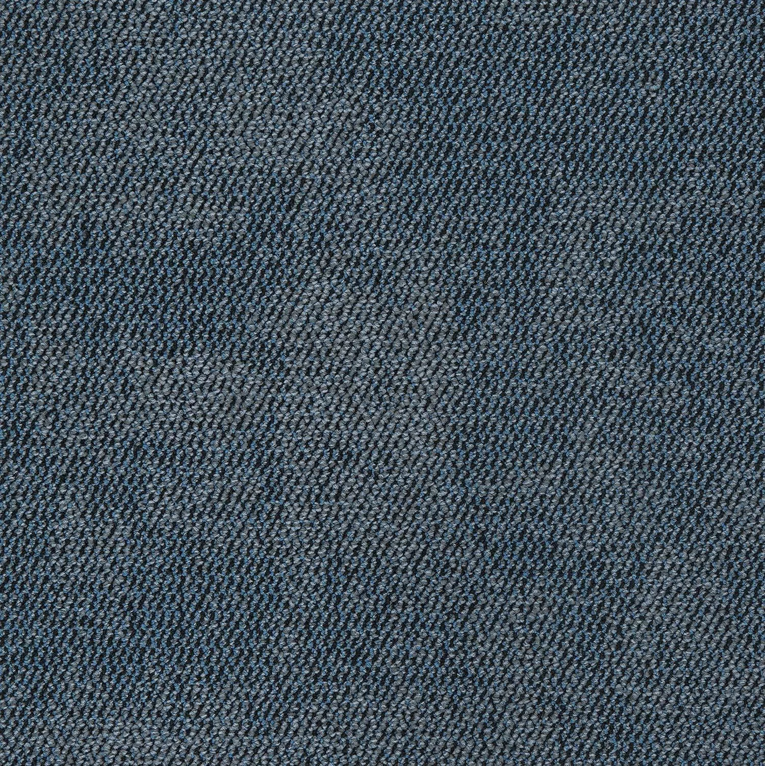 Nova - Image 9