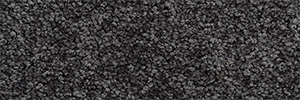 Pacific - Image 3
