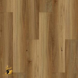 NSW Spotted Gum