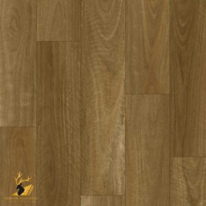 Native Spotted Gum