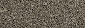 Pacific - Image 4