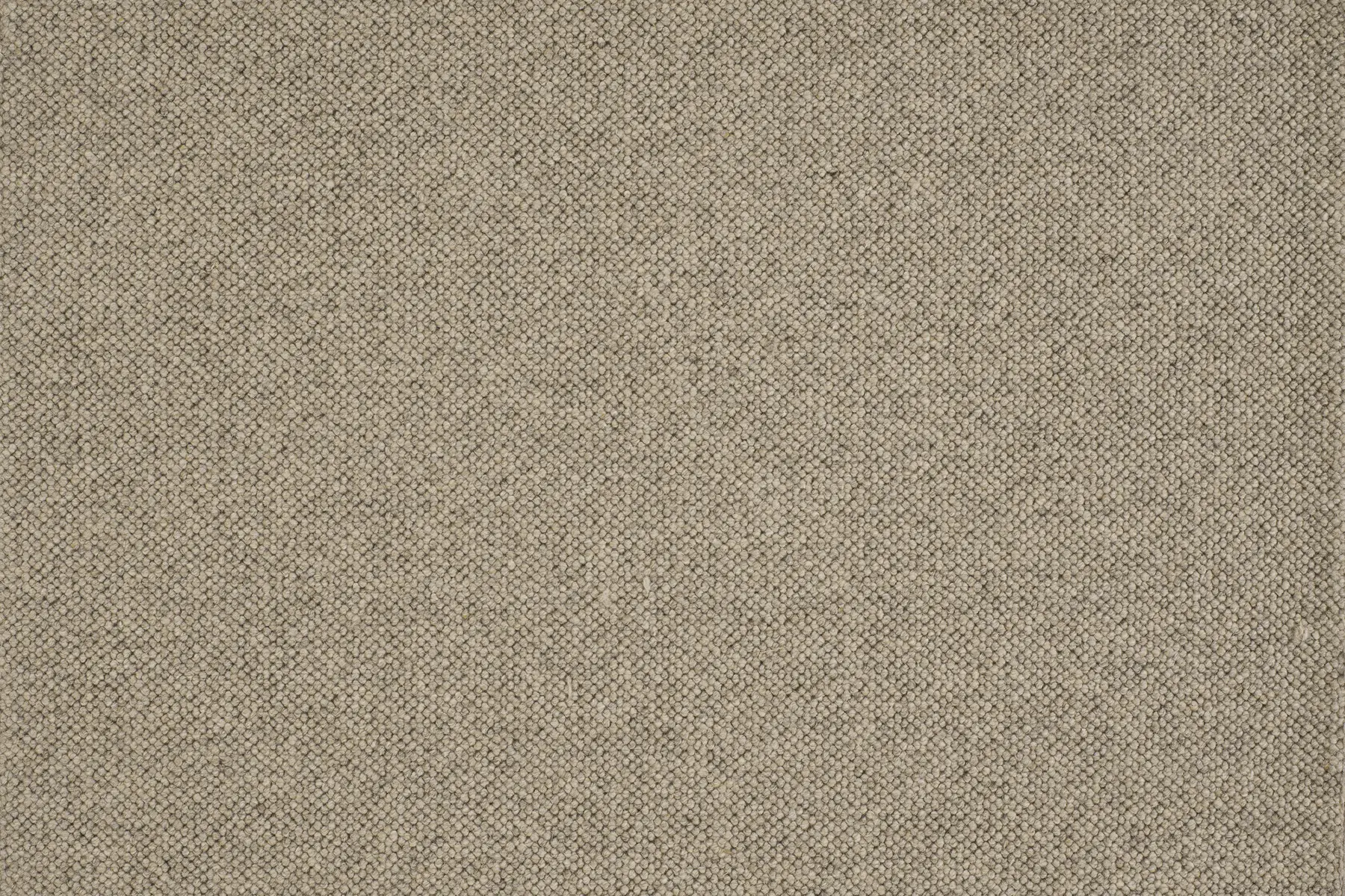 Jaro - Image 4