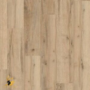 Oiled Oak