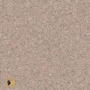 Oystershell