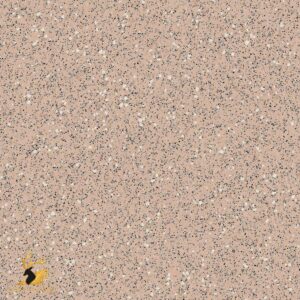 Oystershell